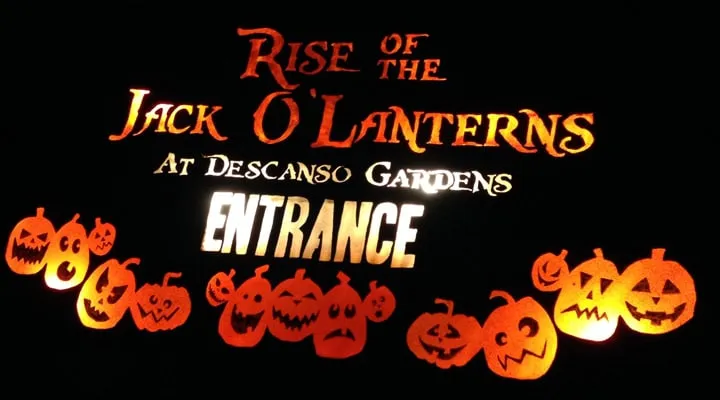 A screenshot of a video game