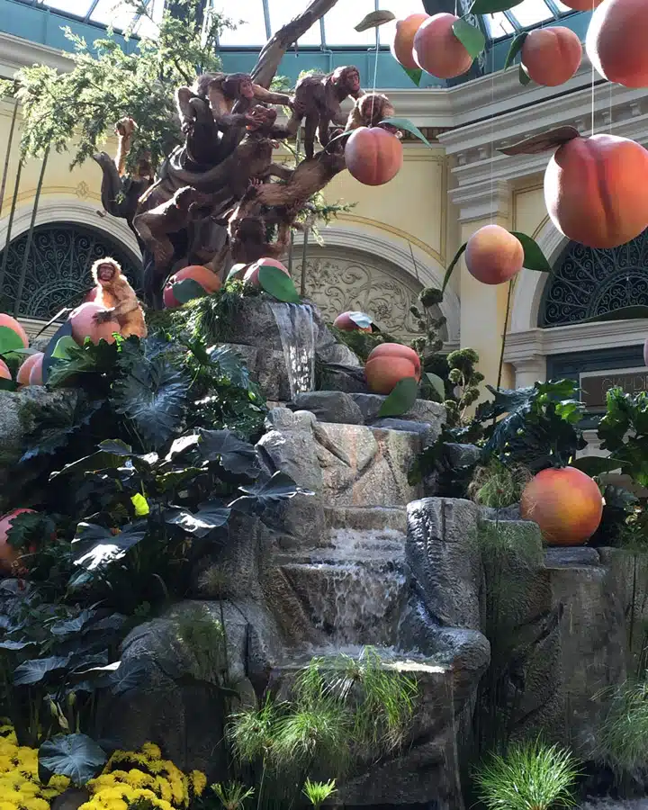 A pile of fruit on a rock