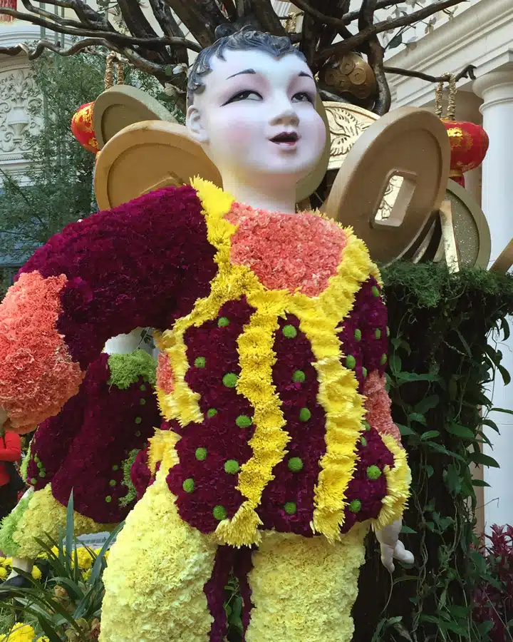 2016-01-20-12.25.13.jpg