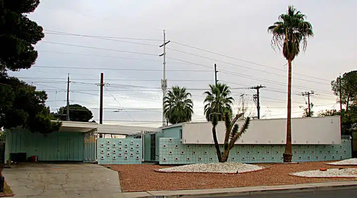 A tree in the middle of the street