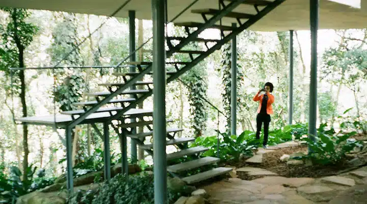 A person standing in a garden