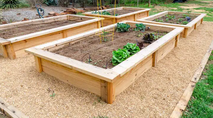 A wooden bench in a garden