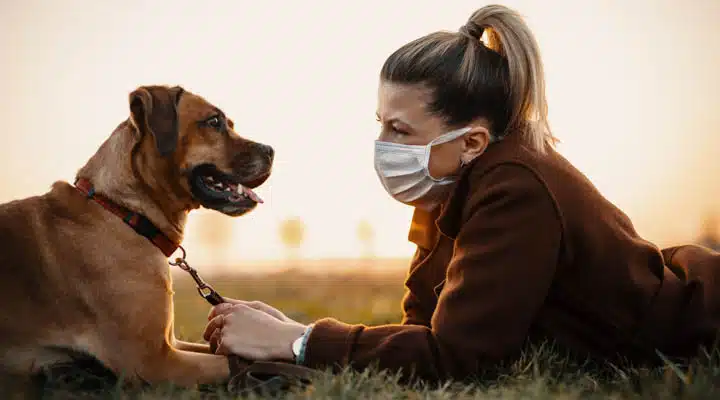 A person holding a dog