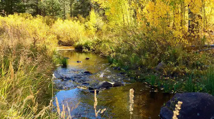 A river running through a body of water