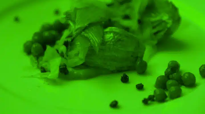 A green apple on a plate