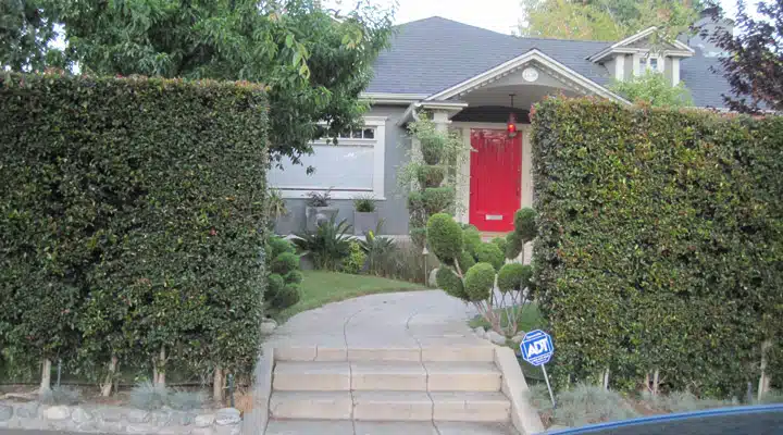 A house with trees in the background