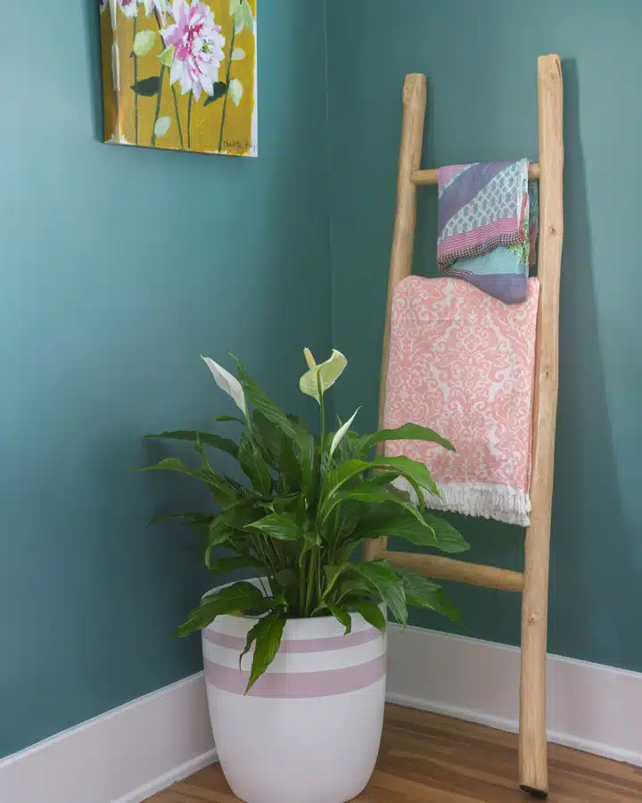 A vase of flowers on a table