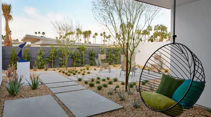 A palm tree in front of a house