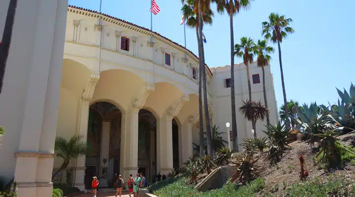 A palm tree in front of a building