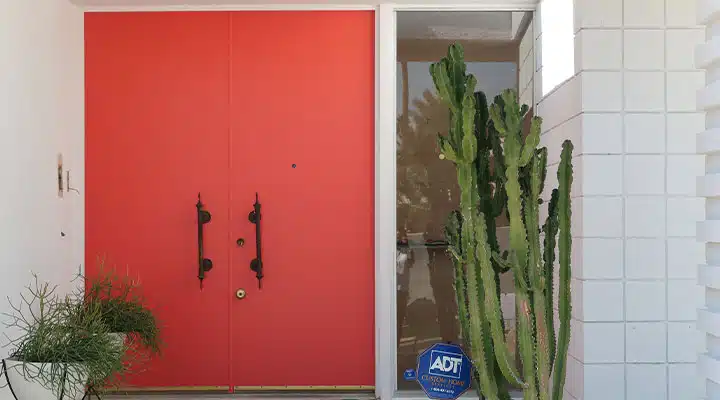 A vase of flowers next to a door