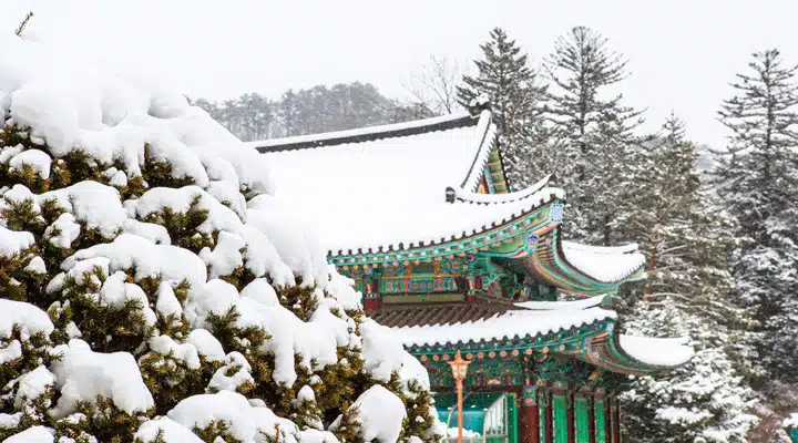 A building covered in snow