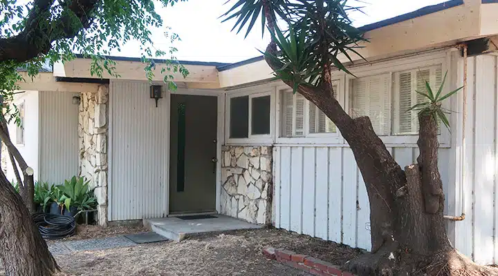 A tree in front of a house