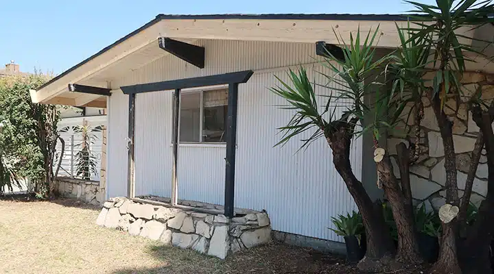 A palm tree in front of a house