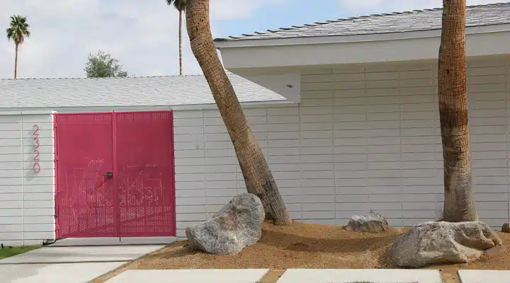 A cat sitting on top of a building