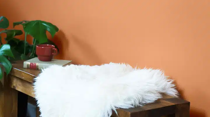 A dog lying on top of a wooden table