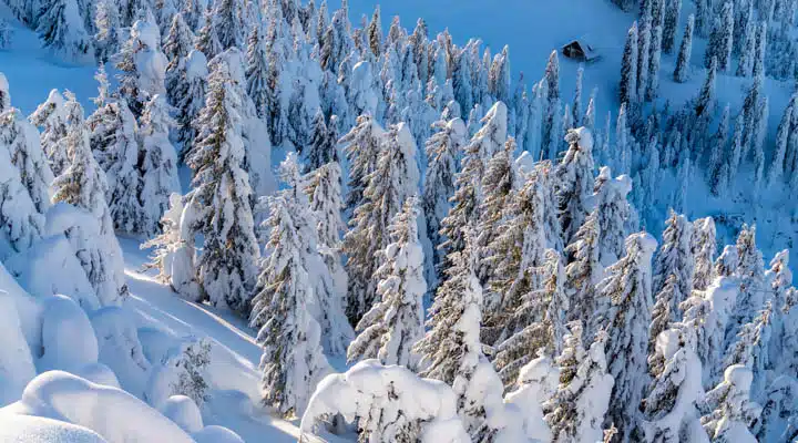 A man standing on top of a snow covered mountain