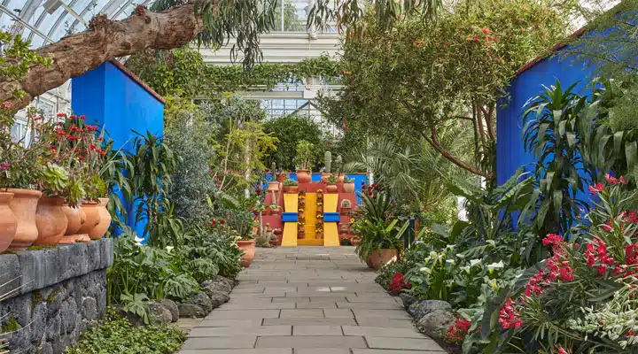 A colorful flower garden in front of a building