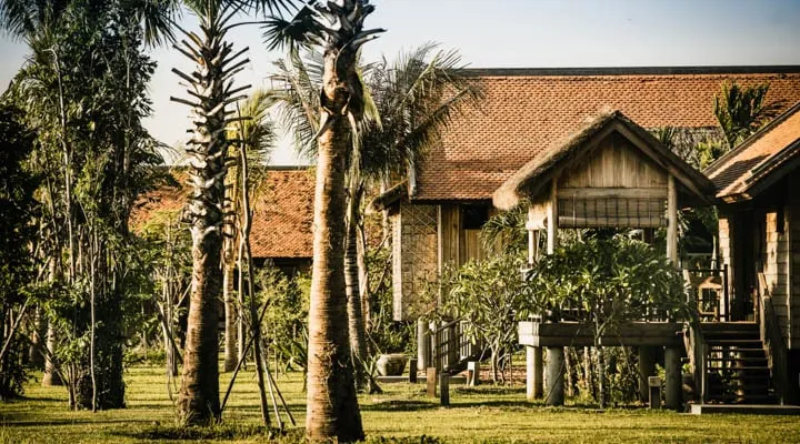 A small house in a tree