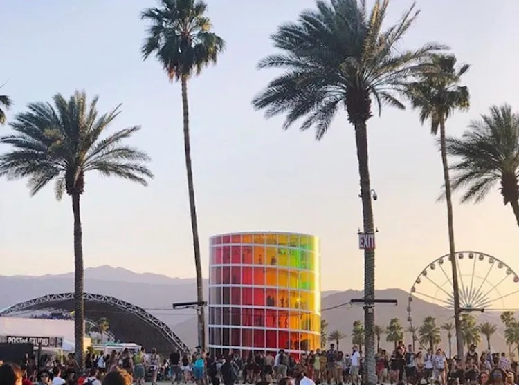 A group of people standing next to a palm tree