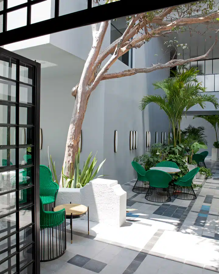 A dining room table in front of a palm tree