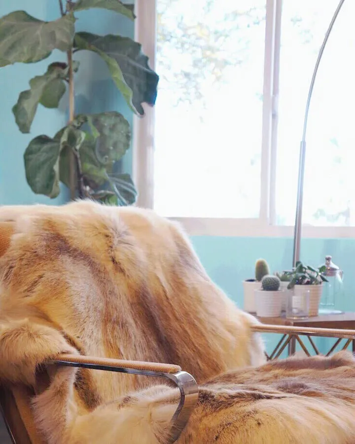 A large brown horse standing next to a window