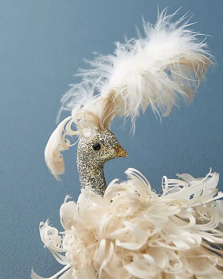 A close up of an animal