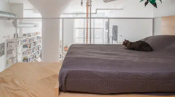 A cat sitting on top of a bed