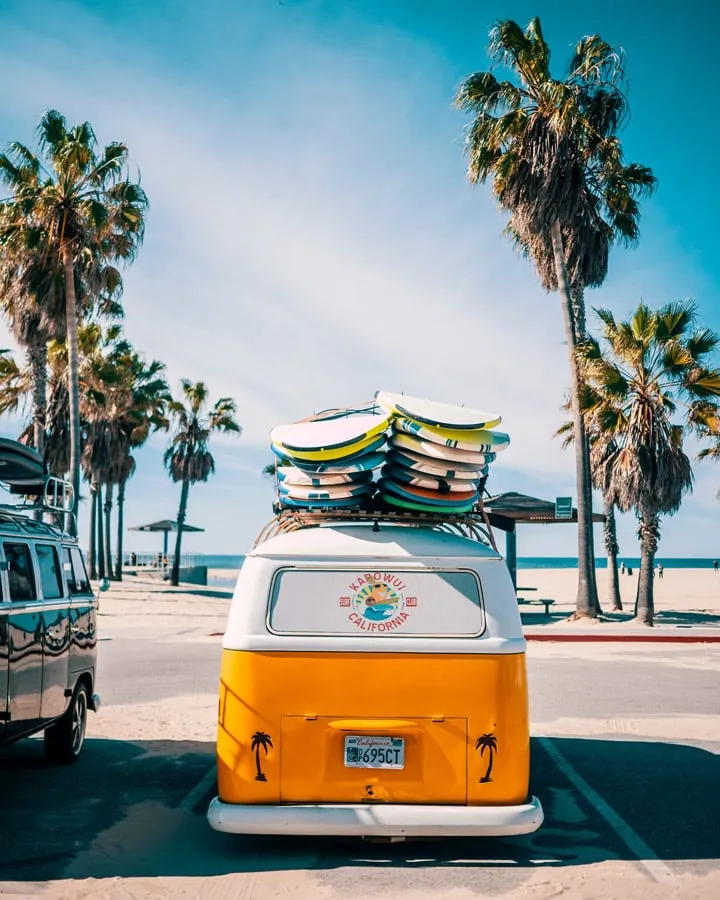 A car parked in front of a palm tree