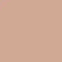 Tiffany Rose DET433 Paint Color #D2A694