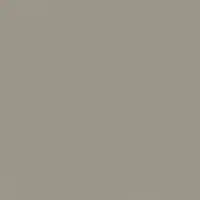 Barnwood Gray DET620 Paint Color #9E9589