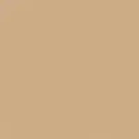 DaVanzo Beige DET664 Paint Color #CCAC86