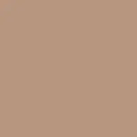 Caramelized DET687 Paint Color #BA947F