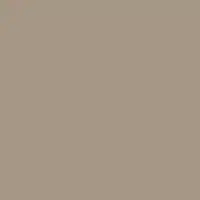 Kiln Dried DET692 Paint Color #A89887