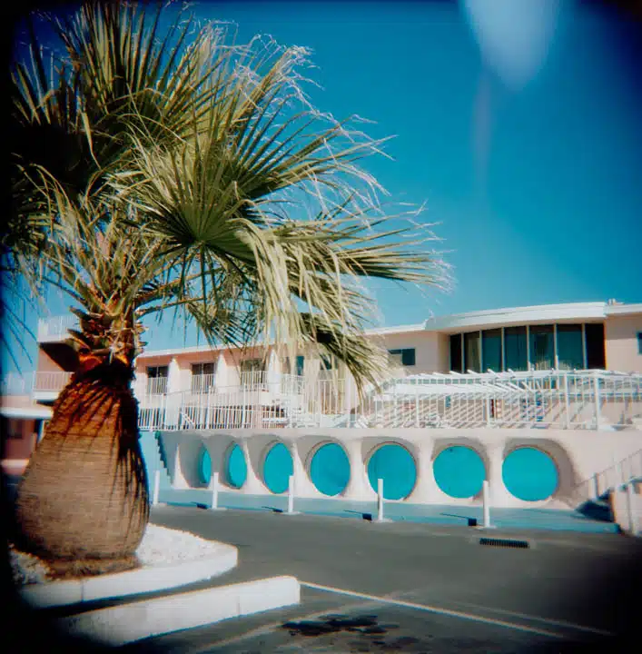 A palm tree in front of a building