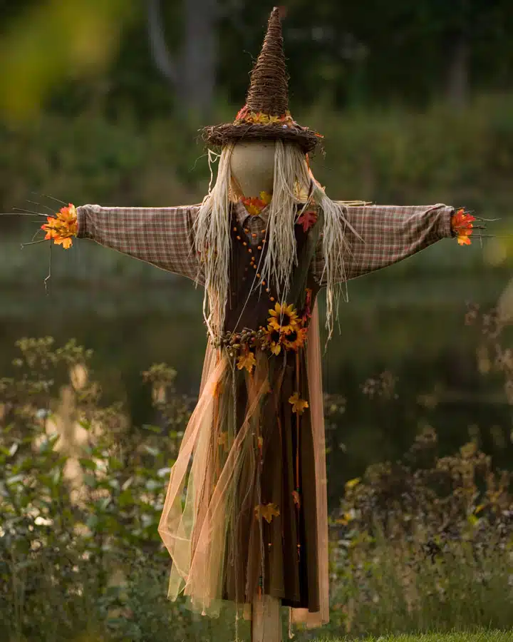 A bird that is standing in the grass