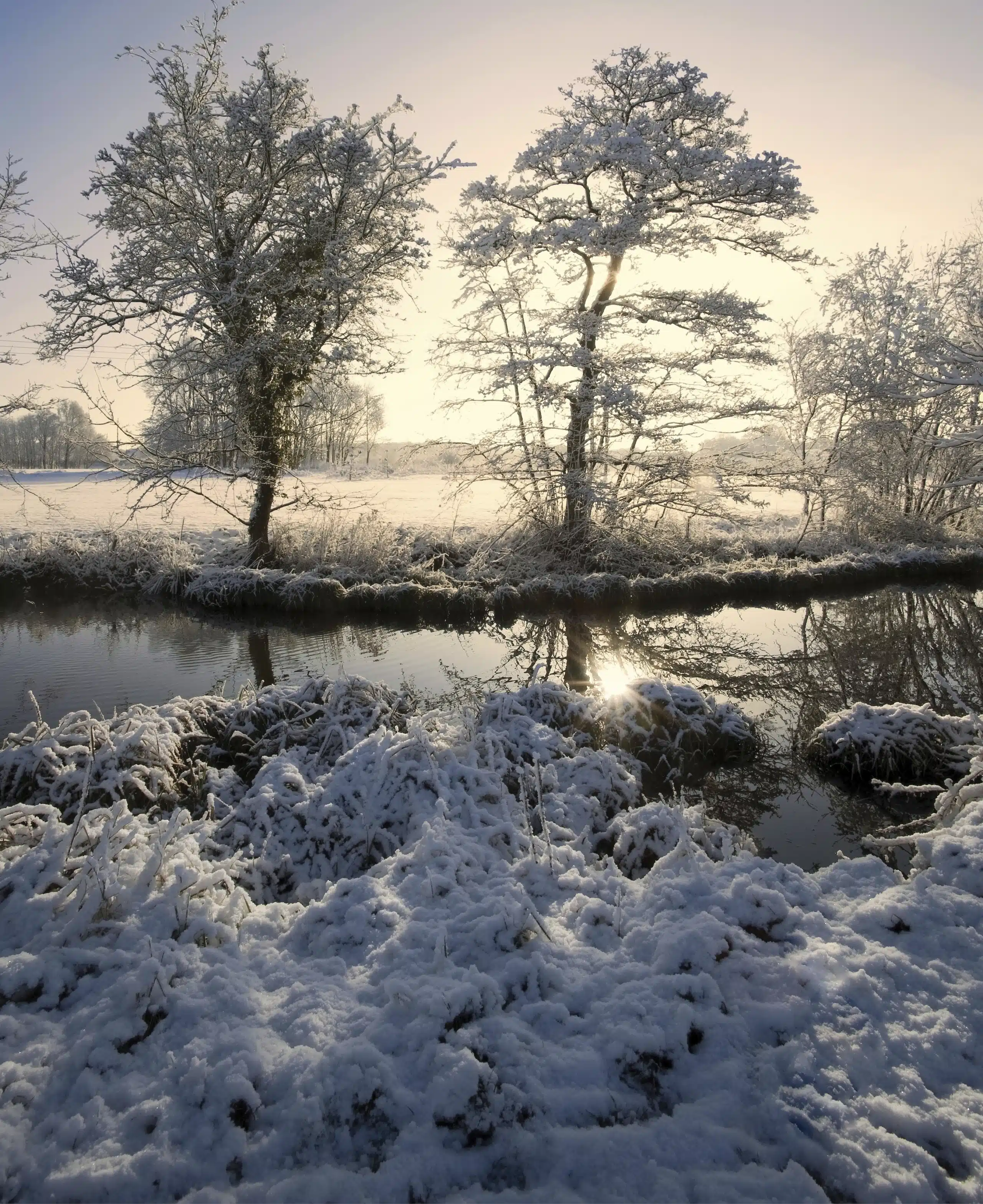 iStock_000007661840_Large.jpg