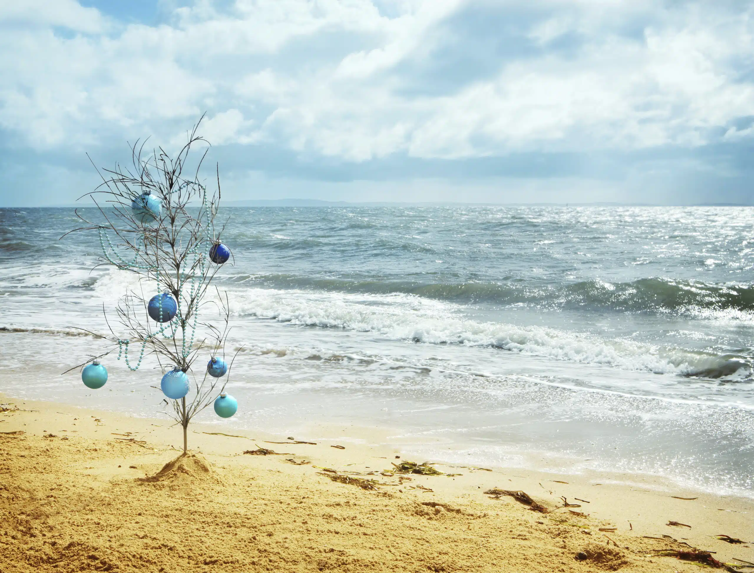 iStock_000022540112_Large.jpg