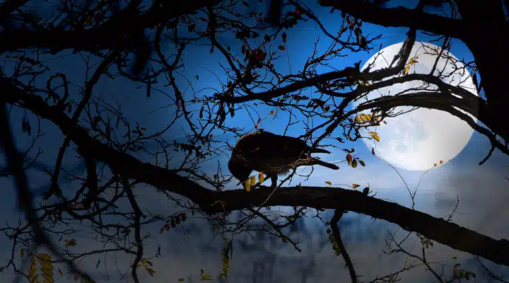 A bird perched on a tree branch