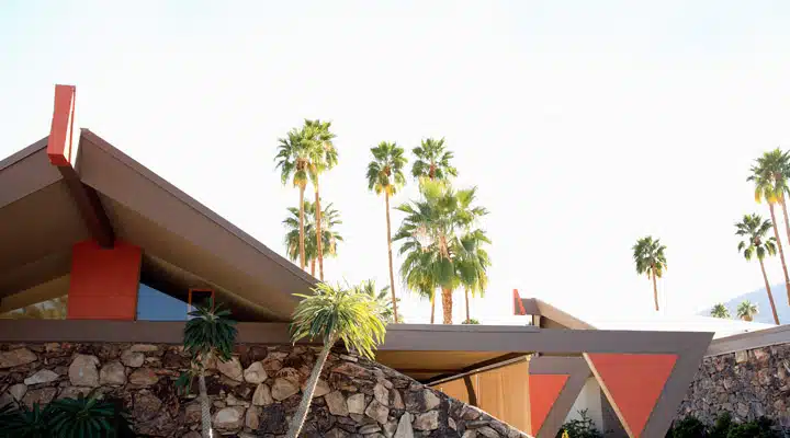 A group of palm trees with a building in the background