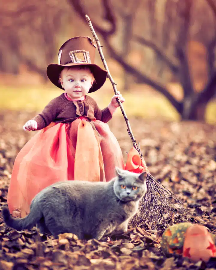 A little boy holding a dog