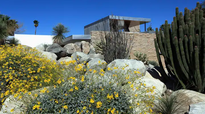 A close up of a flower garden