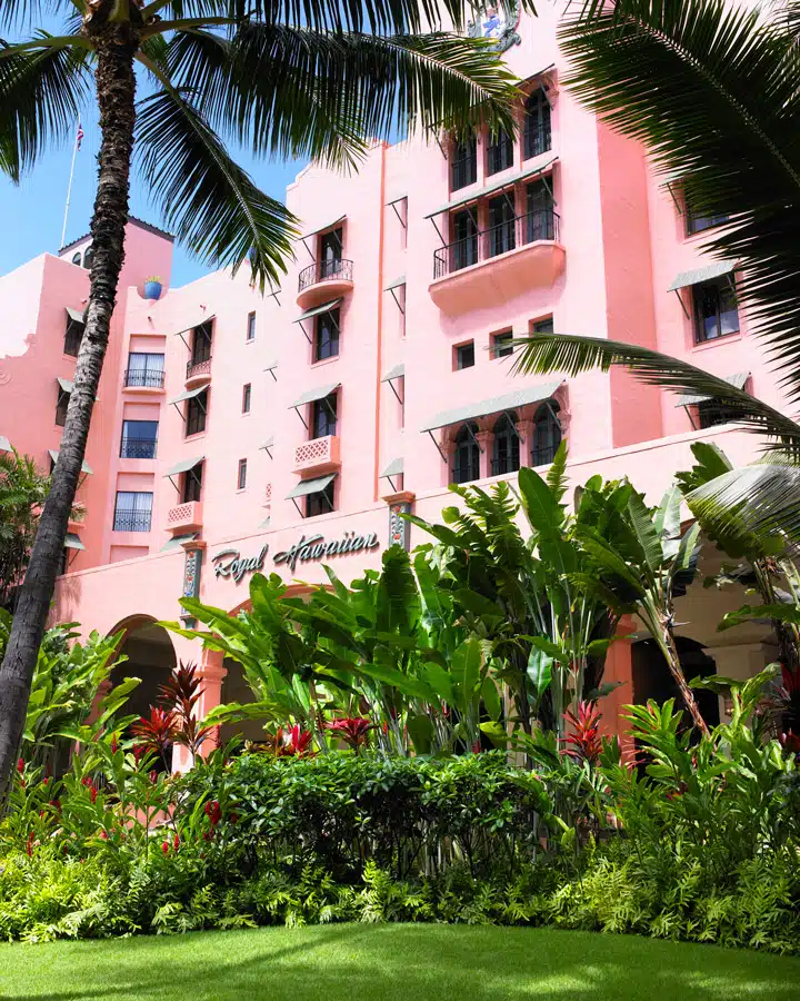 A palm tree in front of a building