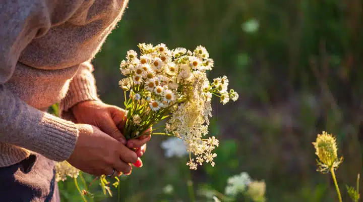 A hand holding a flower