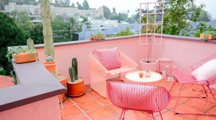 A group of pink flowers on a table