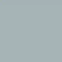 Yreka! DET594 Paint Color #A7B3B7
