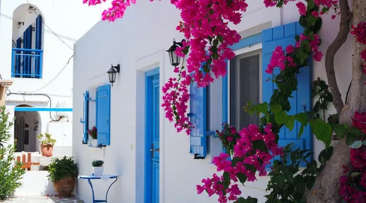 A vase of flowers sitting on top of a building