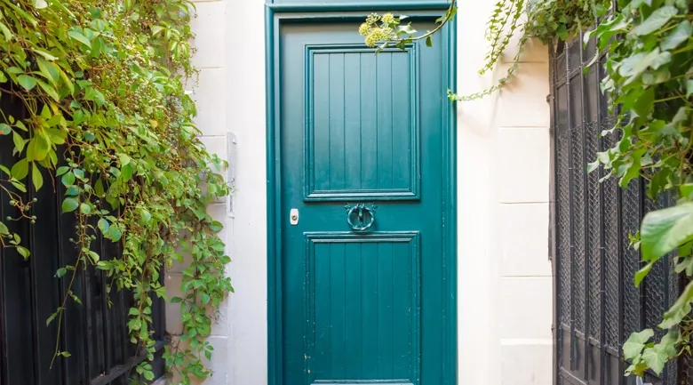 A green plant in front of a door