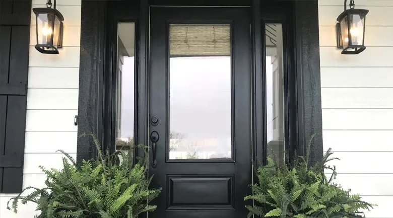 A palm tree in front of a window