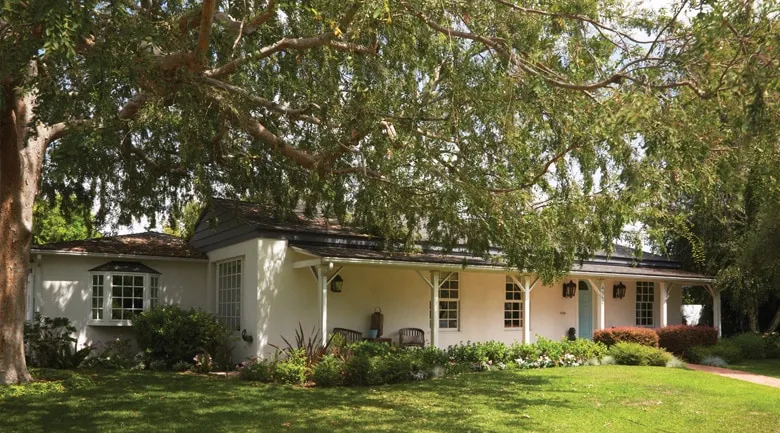 A tree in front of a house