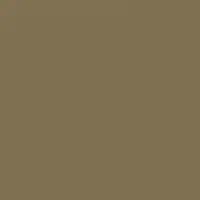 Raw Umber - DET658